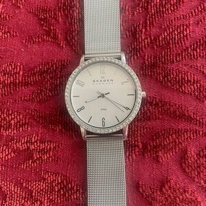 Skagen Silver-Tone Mesh Watch